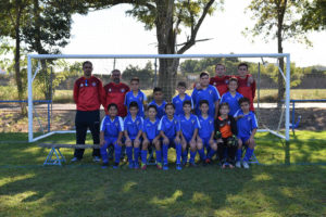 alevin 17-18